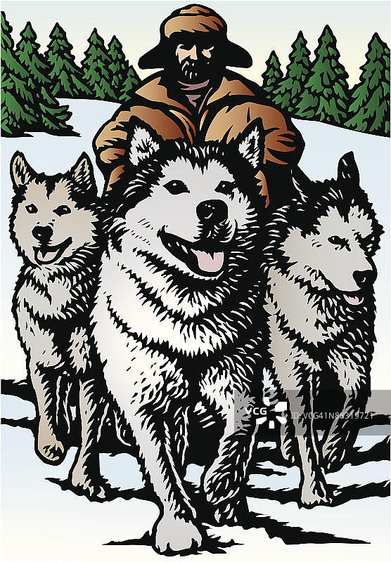 带着狗拉雪橇队的男人，彩色图片素材