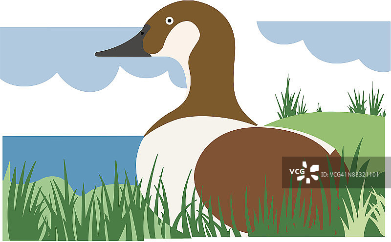 坐在草地上的鸭子，彩色，Illustrator Ver. 3，分组元素，这是一个诱饵，狩猎季节到了图片素材