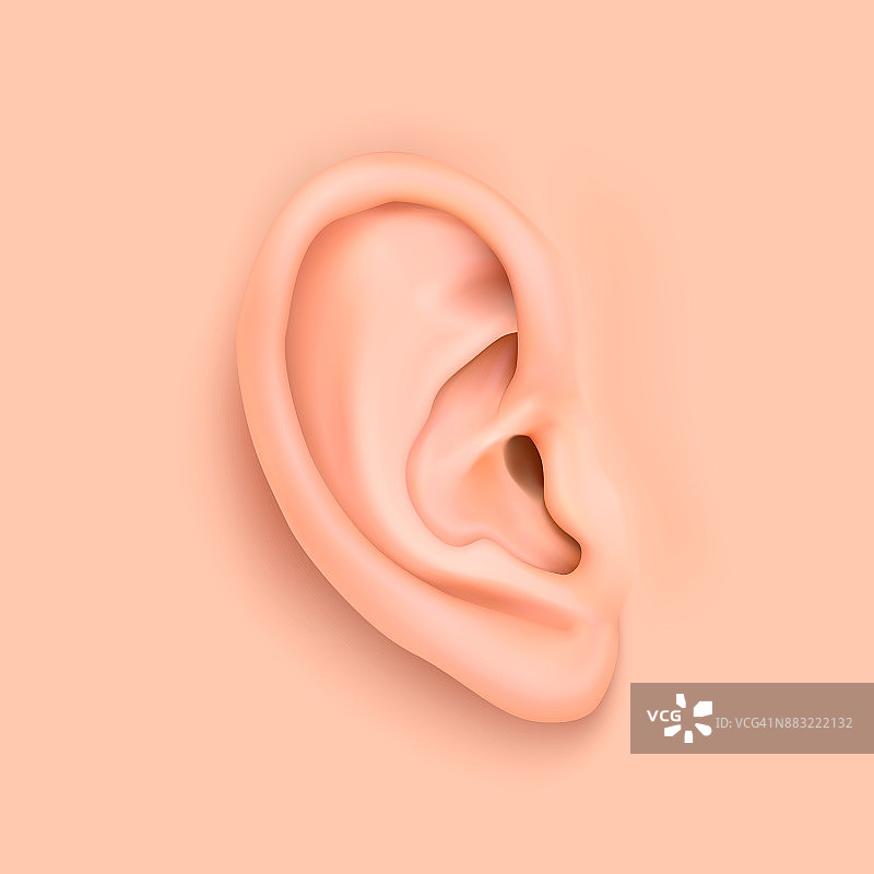 逼真的人耳特写矢量背景，适用于网站、应用程序、海报、信息图表等图片素材