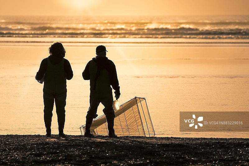 新西兰北岛的银鱼捕捞图片素材