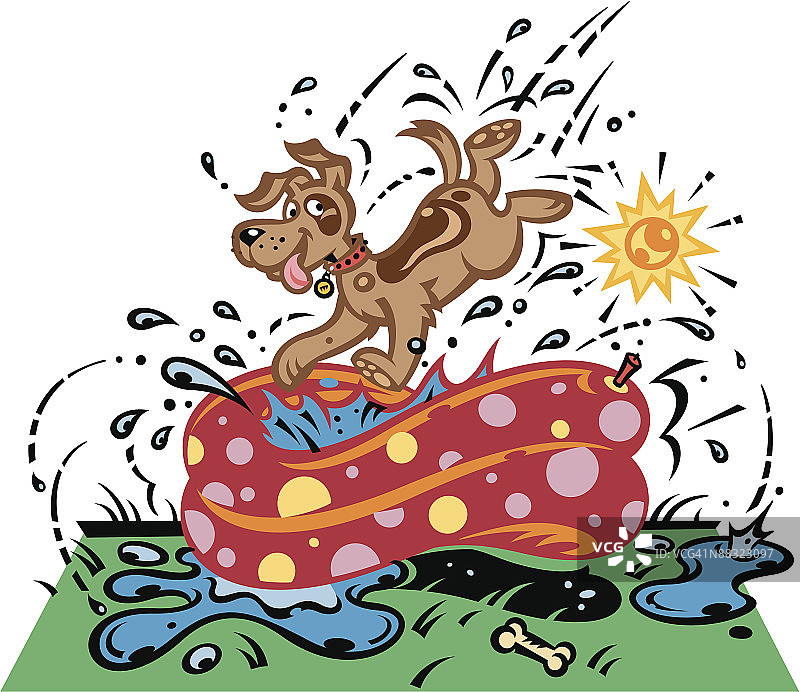 小狗在儿童戏水池里戏水图片素材