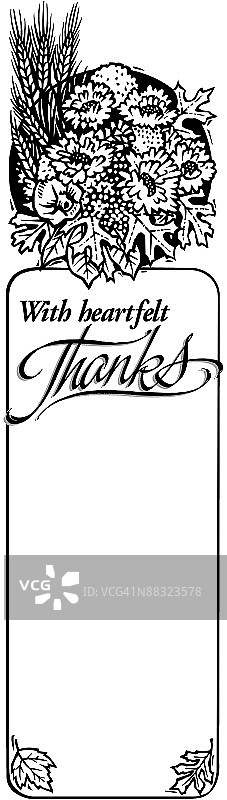 边框，标题，衷心感谢，干花摆件图片素材