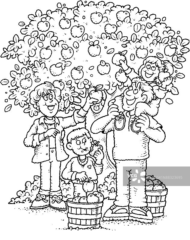 一家人摘苹果图片素材