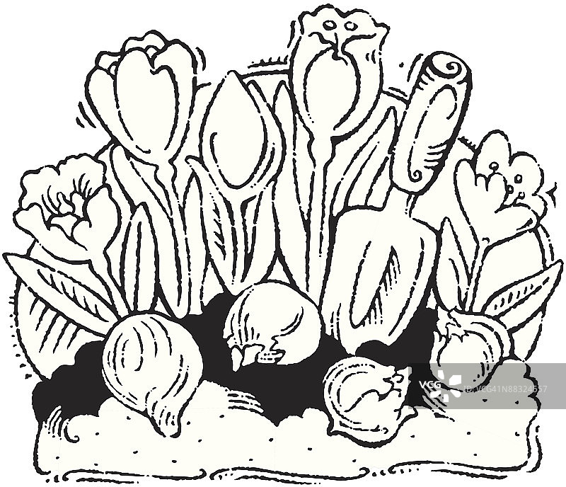 春季花卉和球茎：“今天种植”盛开的鲜花图片素材