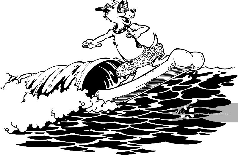 狗狗在冲浪板上玩耍图片素材