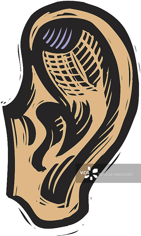 耳部颜色图片素材