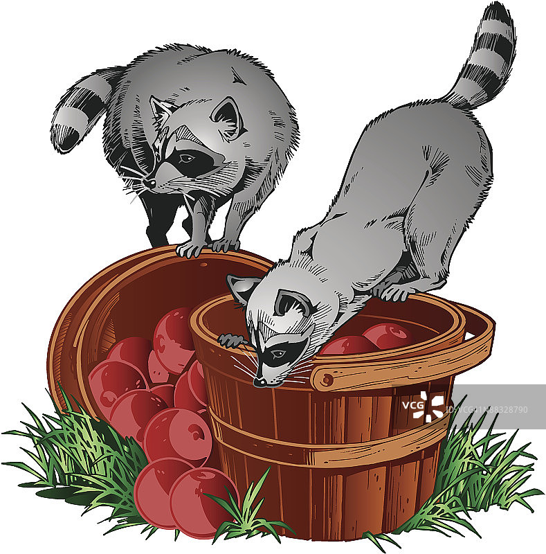 装满苹果的篮子上的浣熊，彩色，分组元素图片素材