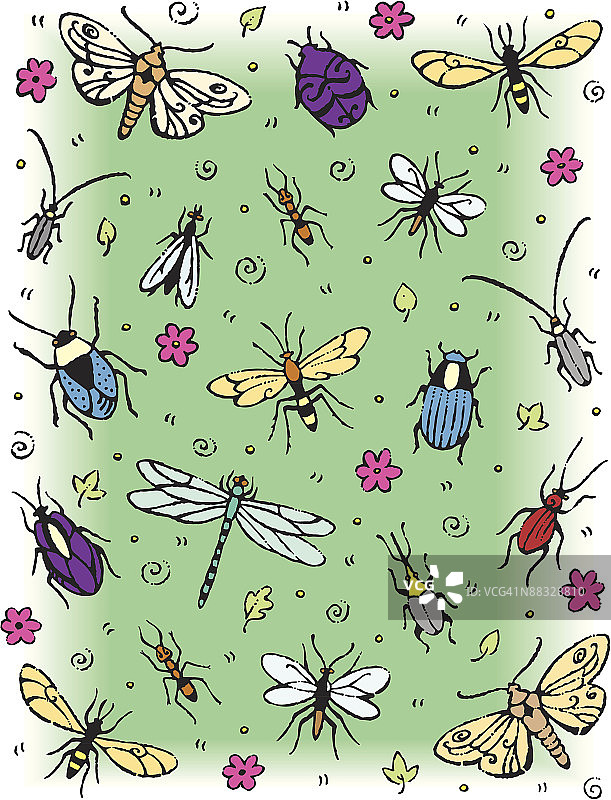 昆虫彩色纹理（Illustrator Ver. 5）图片素材