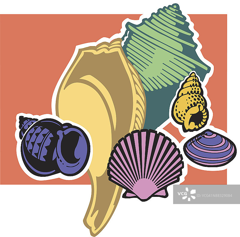 贝壳，颜色，Illustrator Ver. 3，分组元素图片素材