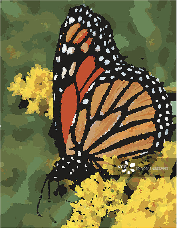 帝王蝶增强色彩照片图片素材