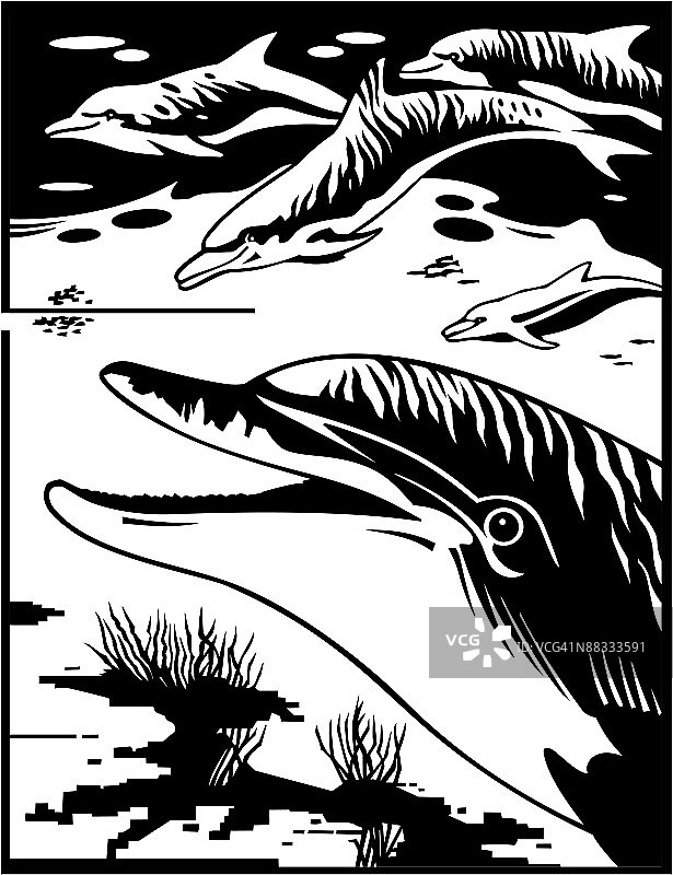 海豚群游水下世界图片素材