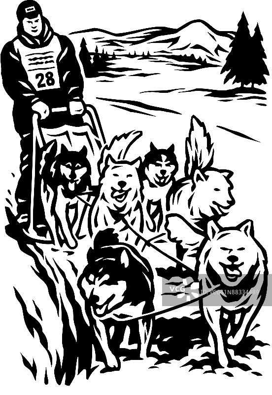 狗拉雪橇比赛图片素材