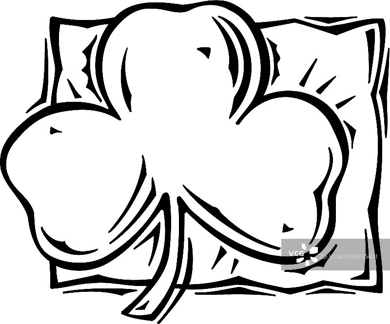 白花酢浆草图片素材