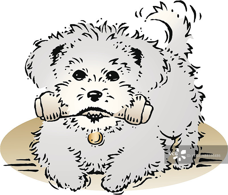 一只摇着尾巴，叼着生皮骨头的小狗图片素材