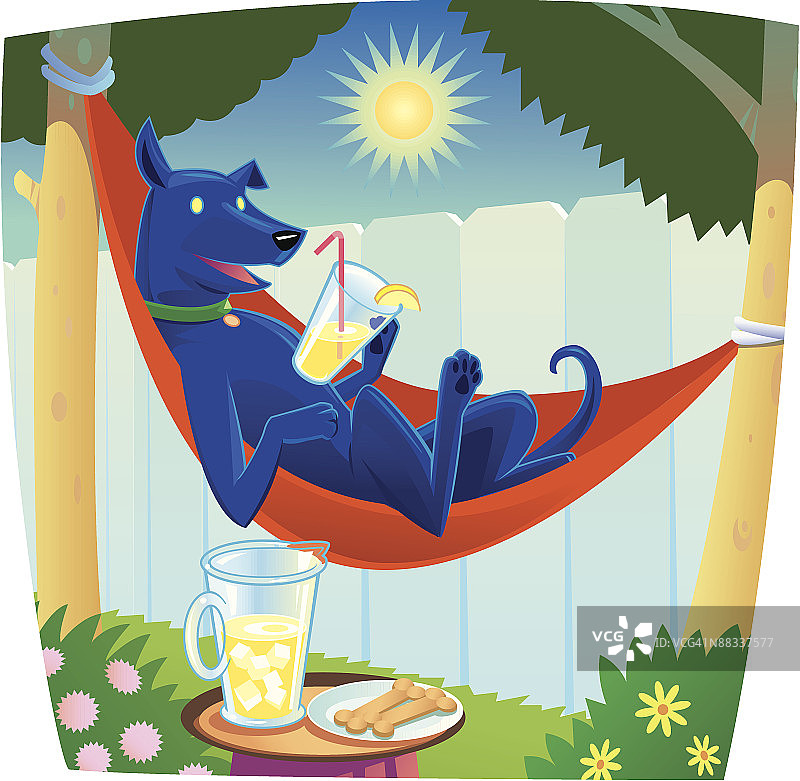 小狗在吊床上休息，彩色图片素材