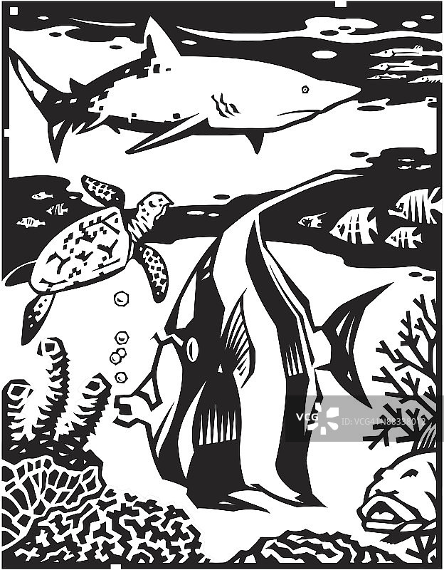 水下场景：海洋之美图片素材