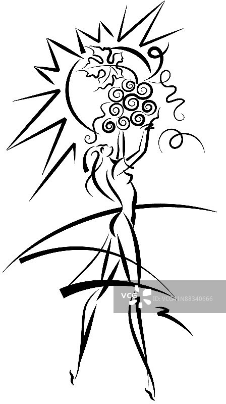 葡萄收获图片素材