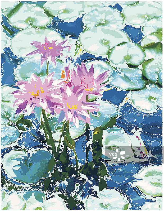 照片：睡莲，花朵，彩色，增强图片素材