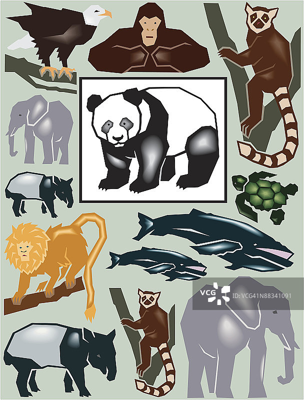 濒危物种蒙太奇彩色插画，保护野生动物，拯救动物图片素材