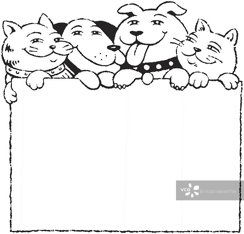 边框，猫和狗图片素材
