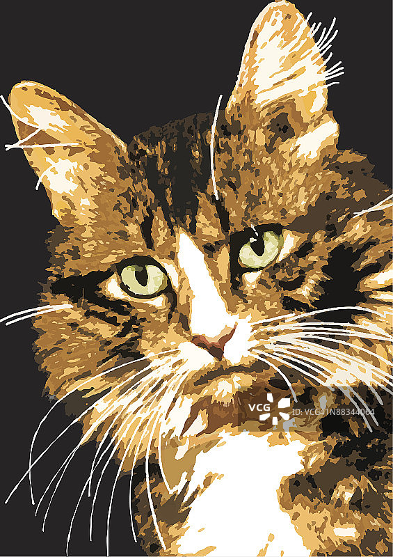 照片：猫（彩色，Illustrator 5版本）图片素材
