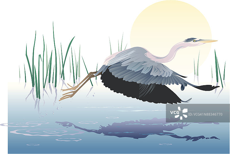 飞行中的蓝色苍鹭，彩色分组元素图片素材