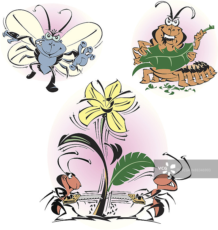 花园害虫插画图片素材