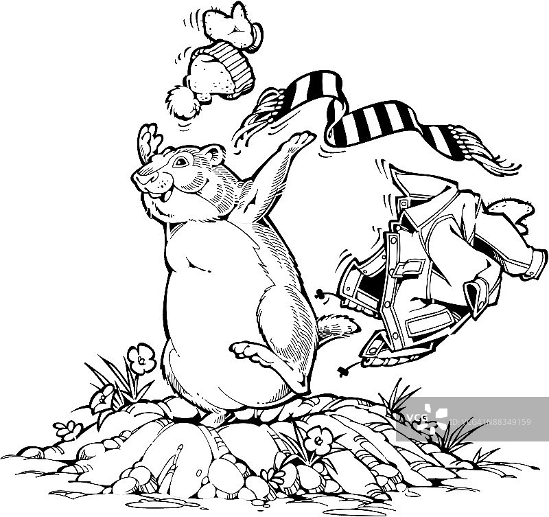 脱掉冬装的土拨鼠图片素材