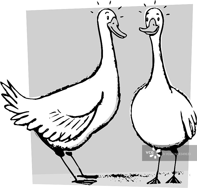 鹅，灰度图片素材