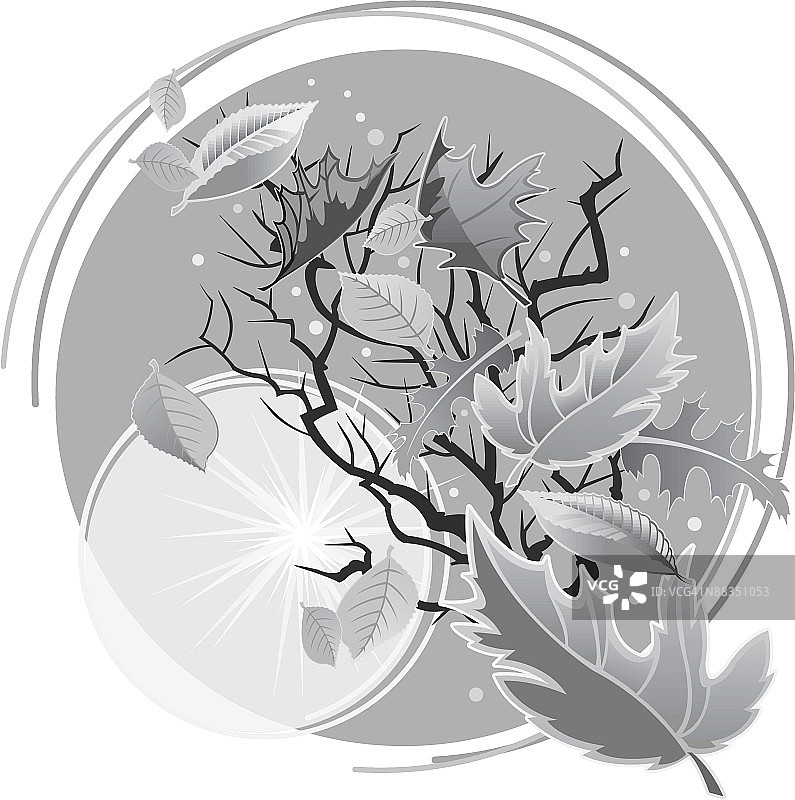 月光下树下的漩涡树叶图片素材