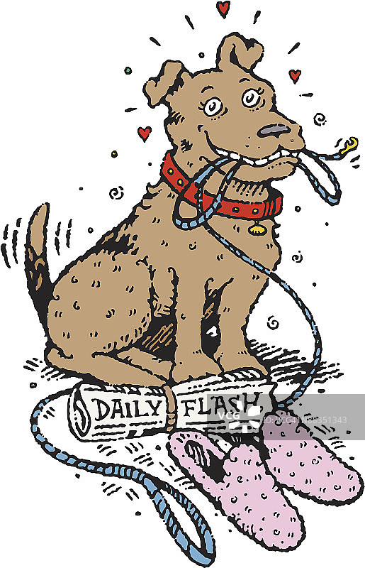 牵着皮带的狗，每日一闪：完美的宠物，人类最好的朋友图片素材