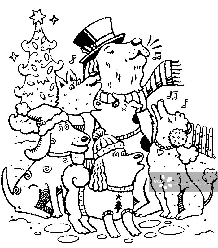 圣诞颂歌狗：每个人都对圣诞节感到兴奋图片素材