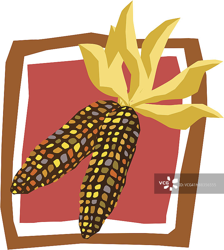 印度玉米图片素材