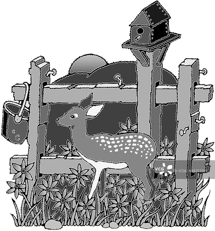 站在栅栏旁的茶色小鹿灰度自然之美乡村风光图片素材