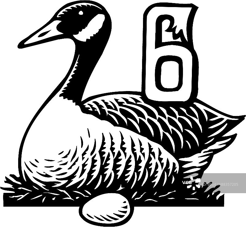 圣诞节第六天，产蛋的鹅图片素材