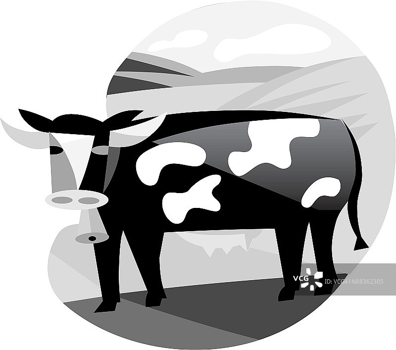 奶牛灰度图图片素材