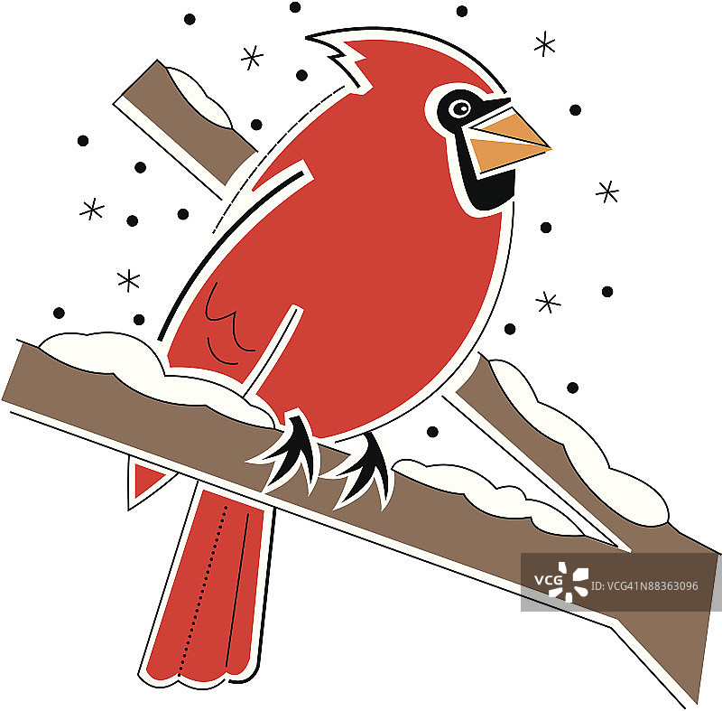 树枝上的彩色主教鸟图片素材