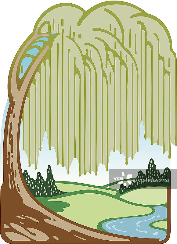 垂柳景观插画图片素材