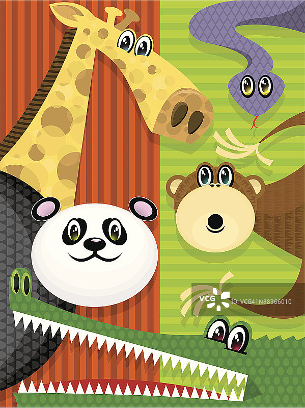 野生动物图片素材