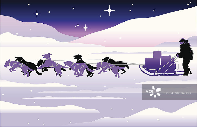 男人在雪地里晚上玩狗拉雪橇图片素材