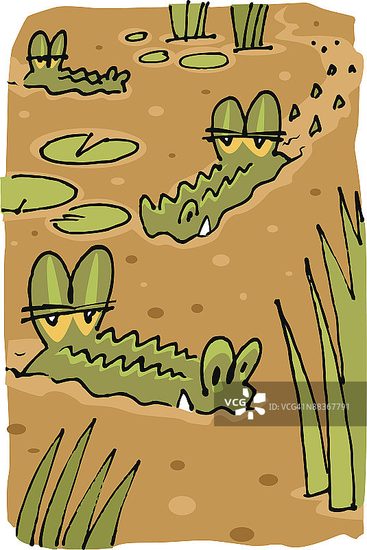 沼泽中的鳄鱼图片素材