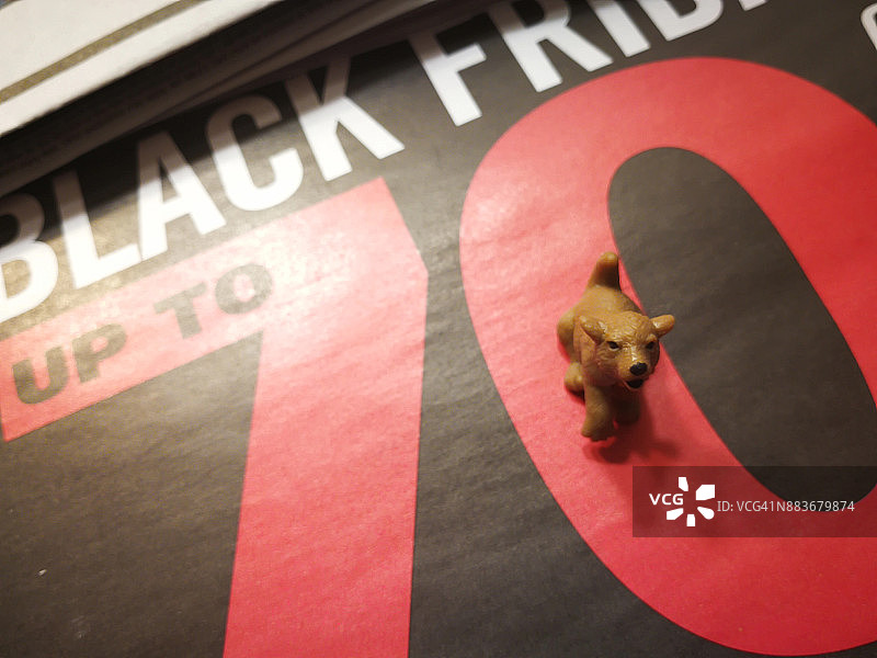 黑色星期五促销中的小狗图片素材