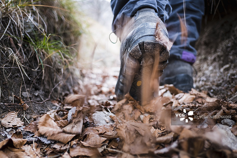 徒步者在森林小路上行走图片素材