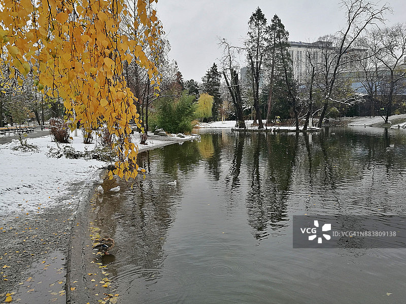 冬季的维也纳城市公园图片素材