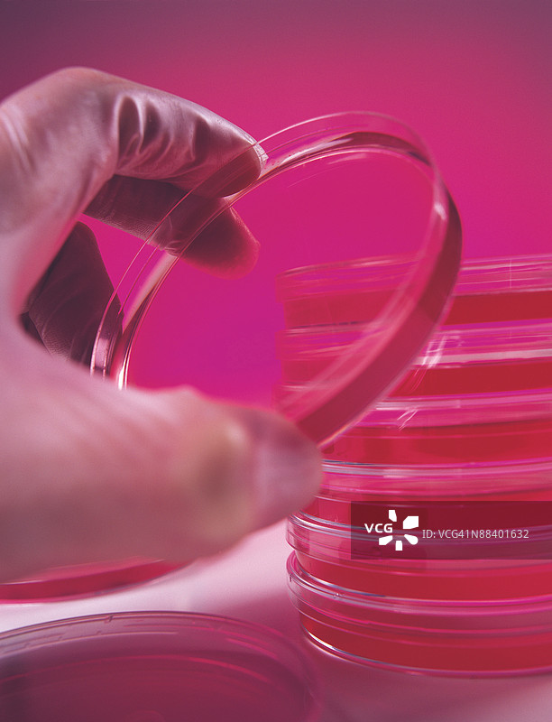 琼脂果冻图片素材