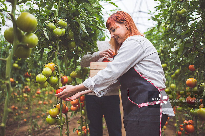 大自然的馈赠图片素材