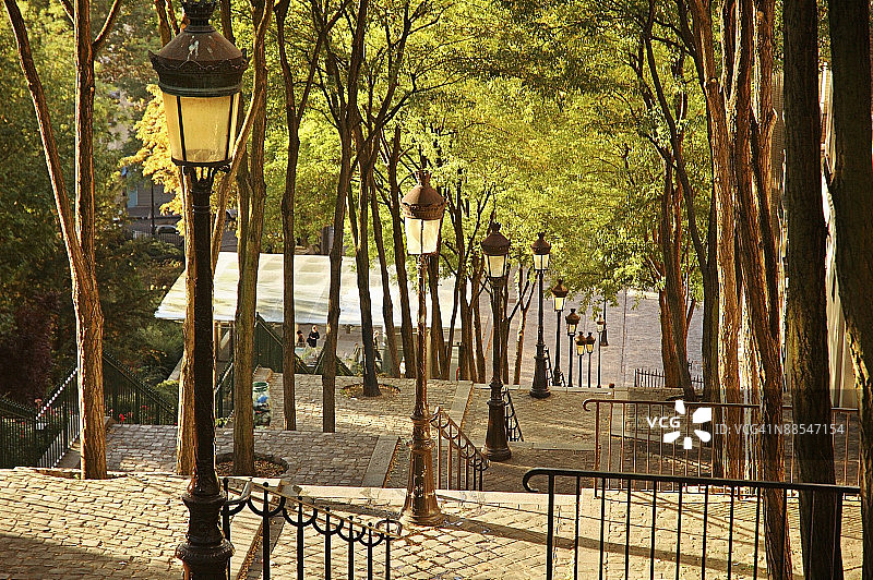 绿树成荫的走道上的灯柱图片素材