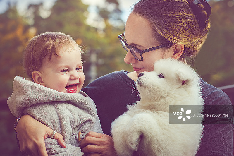 一家人和萨摩耶犬幼犬图片素材