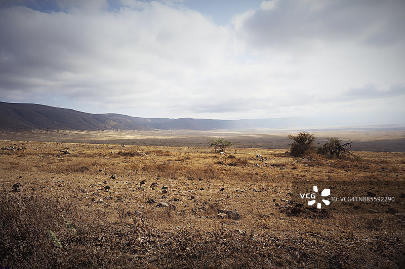 坦桑尼亚恩戈罗恩戈罗火山口的壮丽景色图片素材