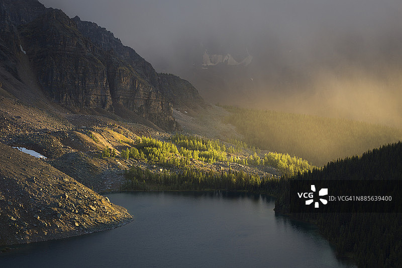 加拿大不列颠哥伦比亚省阿西尼博因山省立公园，天青湖畔的落叶松图片素材